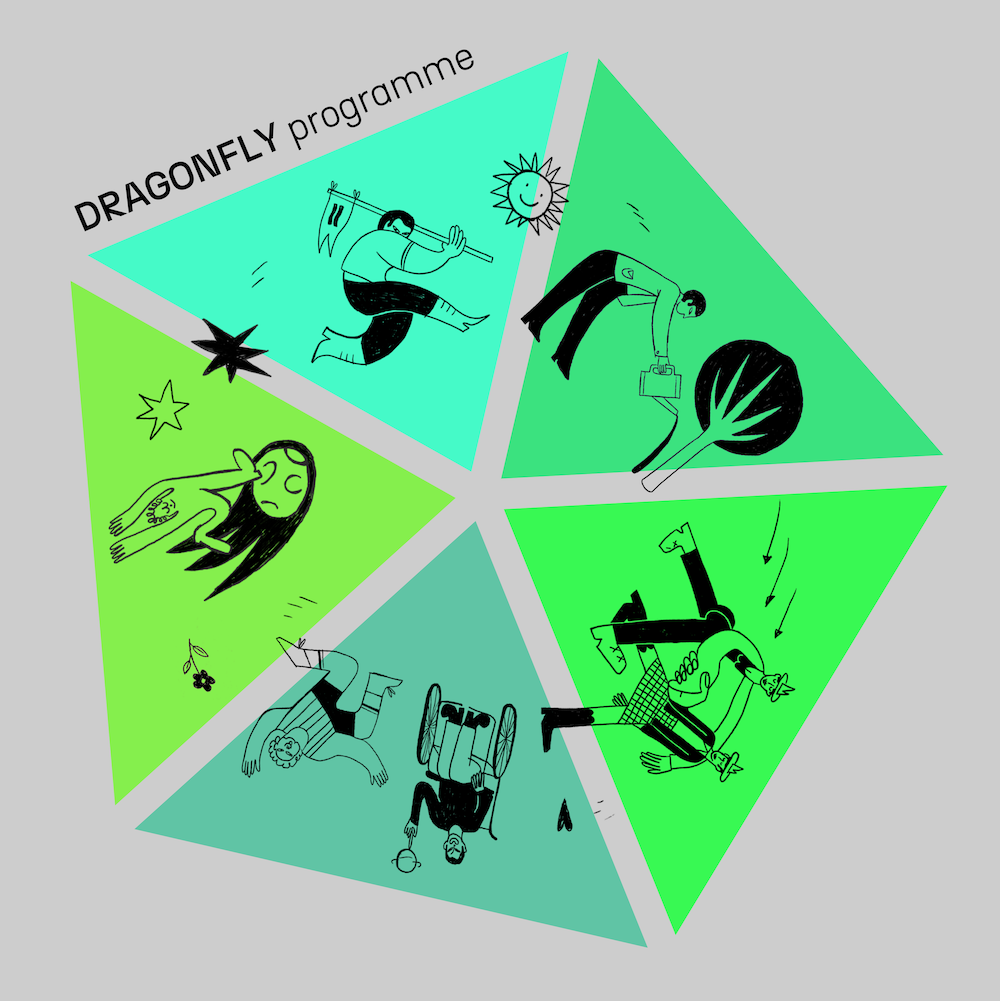 DRAGONFLY programme